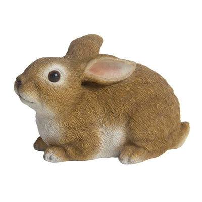 Rabbit Lying M 