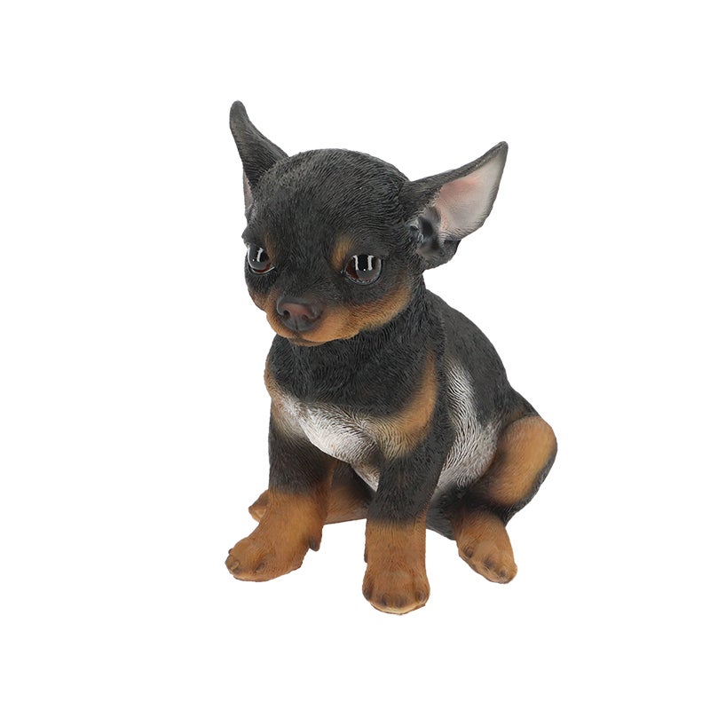 Sitting Chihuahua Pup 