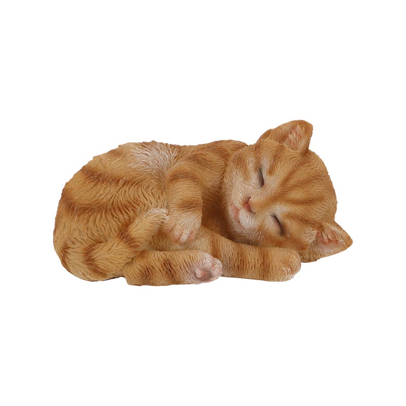 Sleeping Cat S 