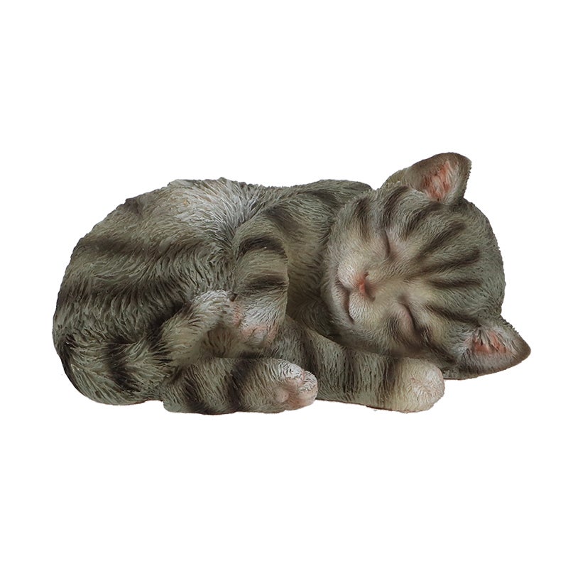 Sleeping Cat S 