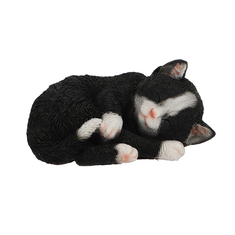 Sleeping Cat S 