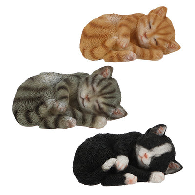 Sleeping Cat S 