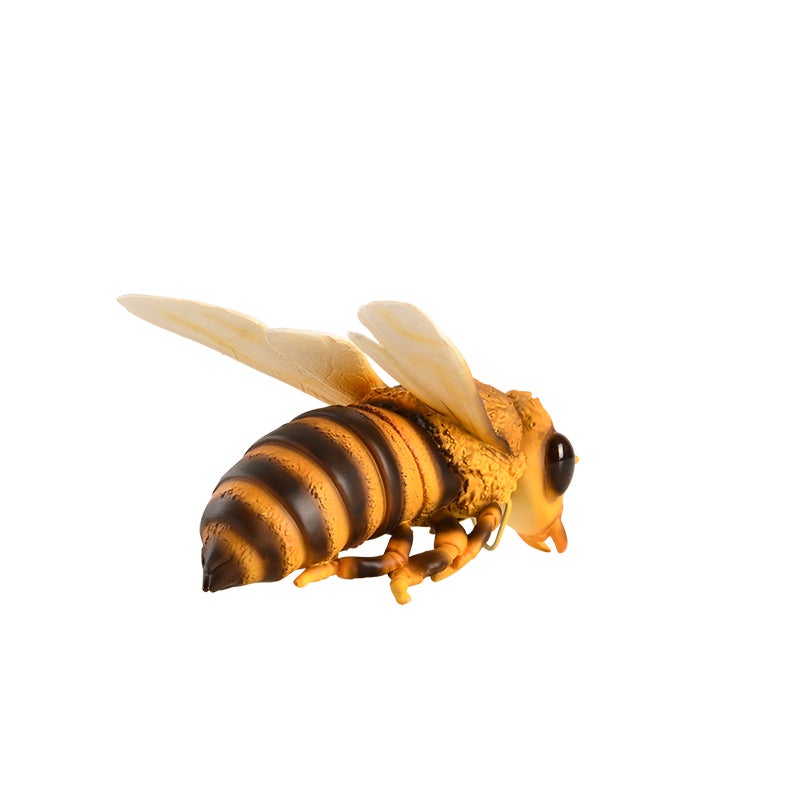 Bee 