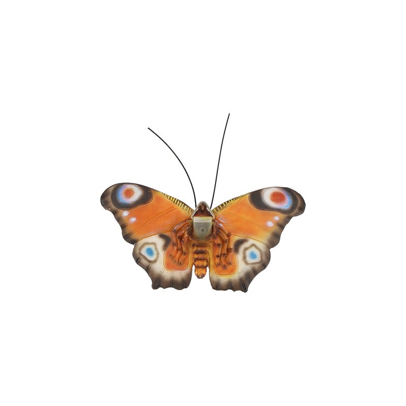 Butterfly S ~ Assorted 