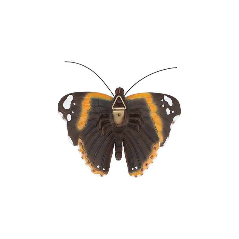 Butterfly S ~ Assorted 