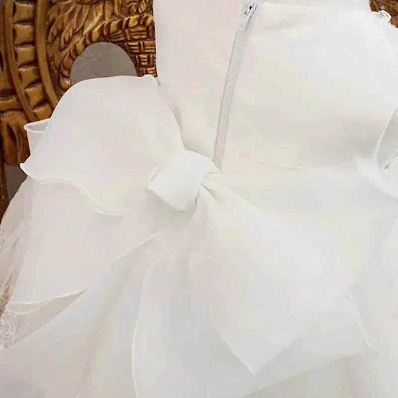 Birthday Photo Clothes Women's Tulle Tutu Super Fairy Princess Dress Girls Bow gown Christening dress Baptism dress 