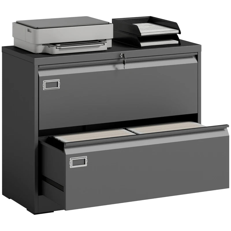 Lateral Filing Cabinet with 2 Drawers, Lockable Steel File Cabinet for A4/Letter/Legal Size Files, Black