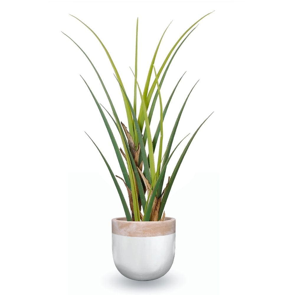 Camilo Glazed Planter 12'' 