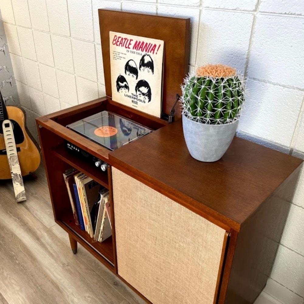 Coco Artificial Cactus Potted Plant 11" 