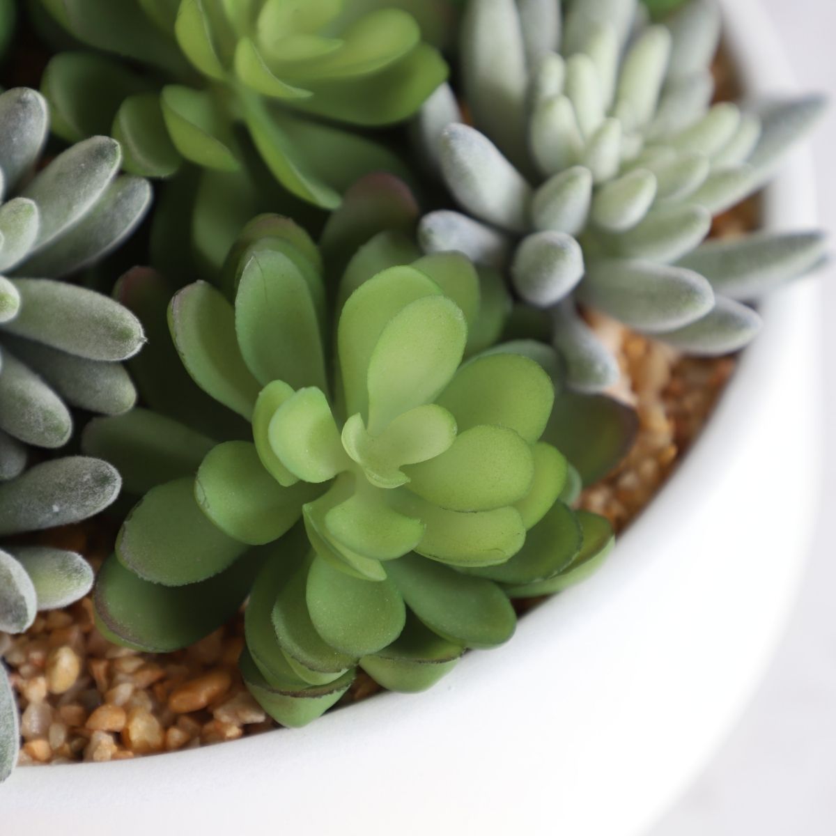 Eva Artificial Succulent Arrangement in Low White Pot 