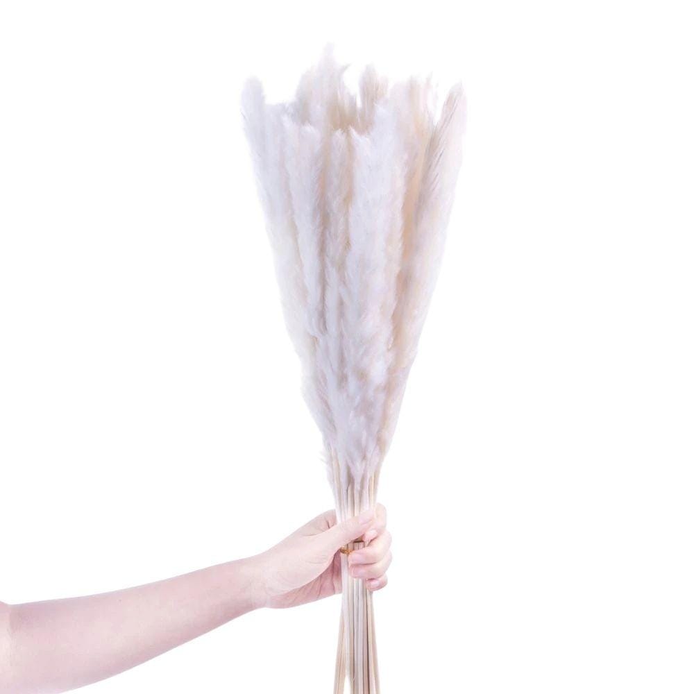 Beige Pampas Bouquet 26'' (Set Of 30) 