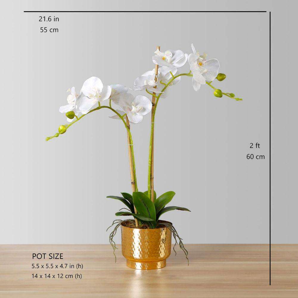 Gladiola Faux Potted Orchid Floral Arrangement 24 Inches 