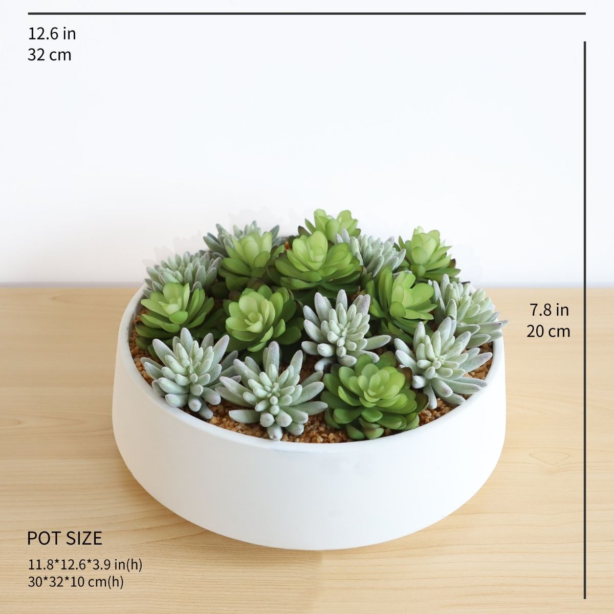 Eva Artificial Succulent Arrangement in Low White Pot 