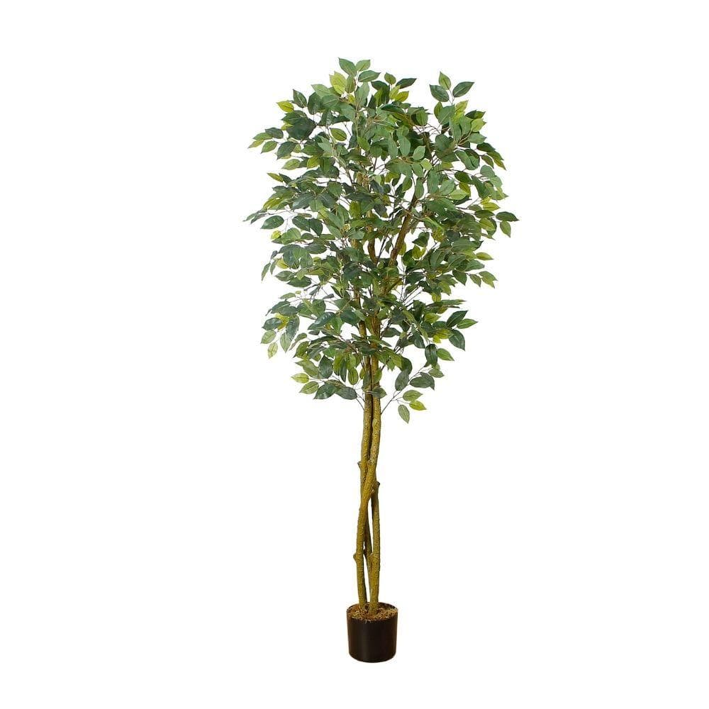 Benja Artificial Ficus Tree Potted Plant 6’ 