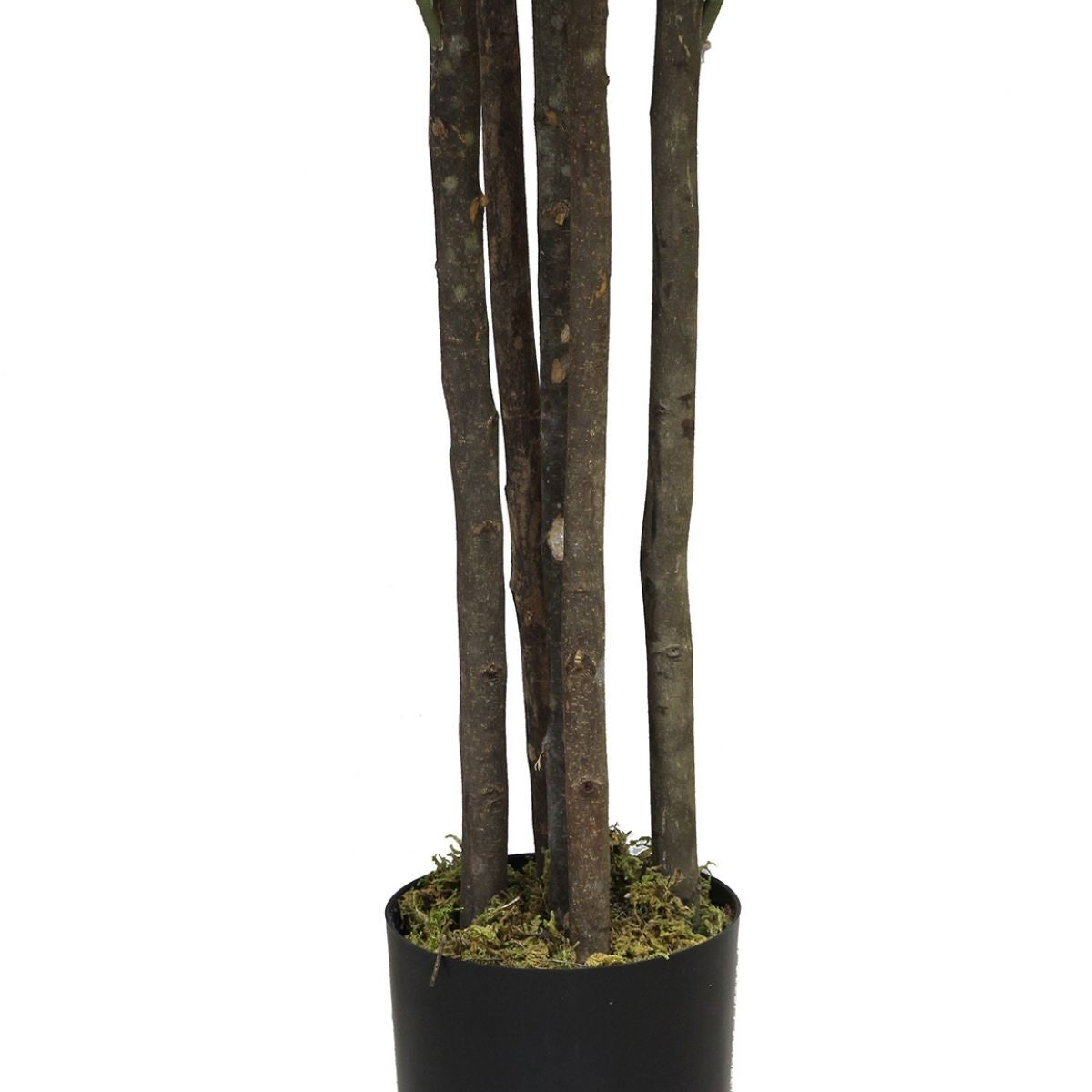 Encanto Artificial Rubber Potted Plant (Multiple Sizes) 