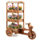 3-Tier Fir Wood Plant Stand with Fabric Canopy and 3 Wheels – Vintage Tricycle Planter Cart
