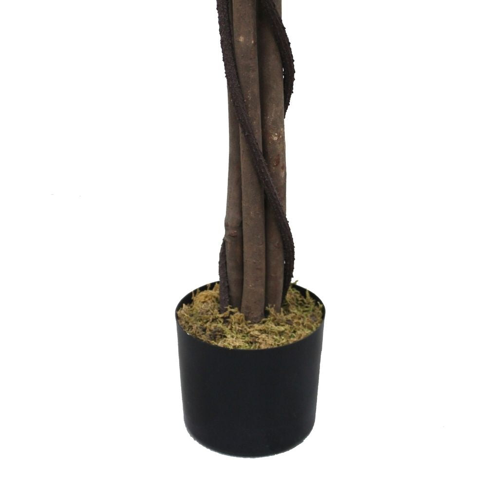 Tarso Artificial Ficus Potted Plant 6' 