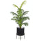Isha Black Braided Planter – Handmade Water Hyacinth Basket with Modern Black Stand, Eco-Friendly, Small/Medium/Large Sizes
