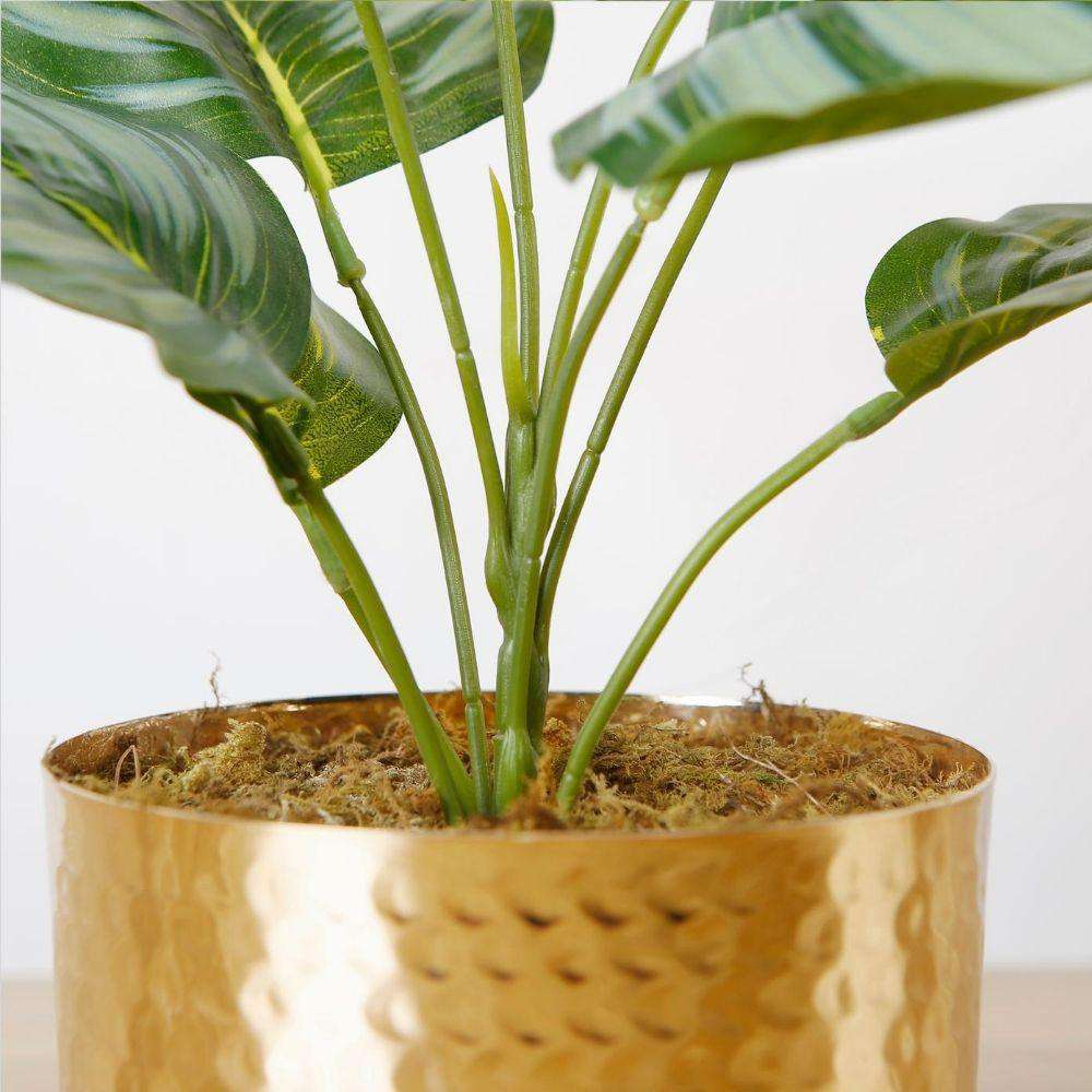 Calathea Faux Potted Plant 