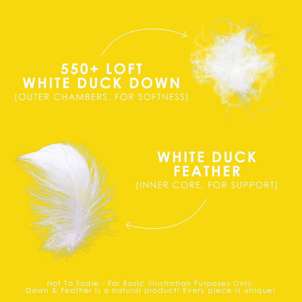 Down Perfect™ White Feather & Down Pillow 