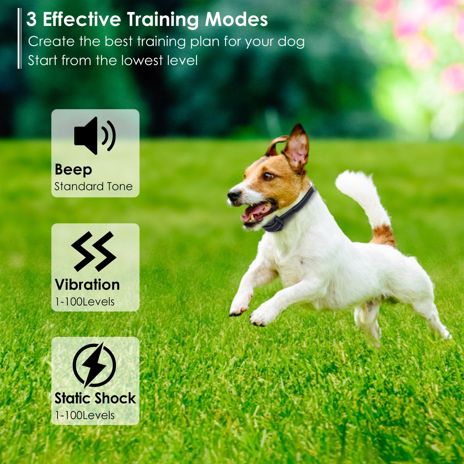 Dog Training Collar IPX7 Waterproof Pet Beep Vibration Electric Shock Collar Rechargeable Transmitter Receiver Trainer w/ Remote