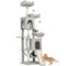 Cat Tree, 70