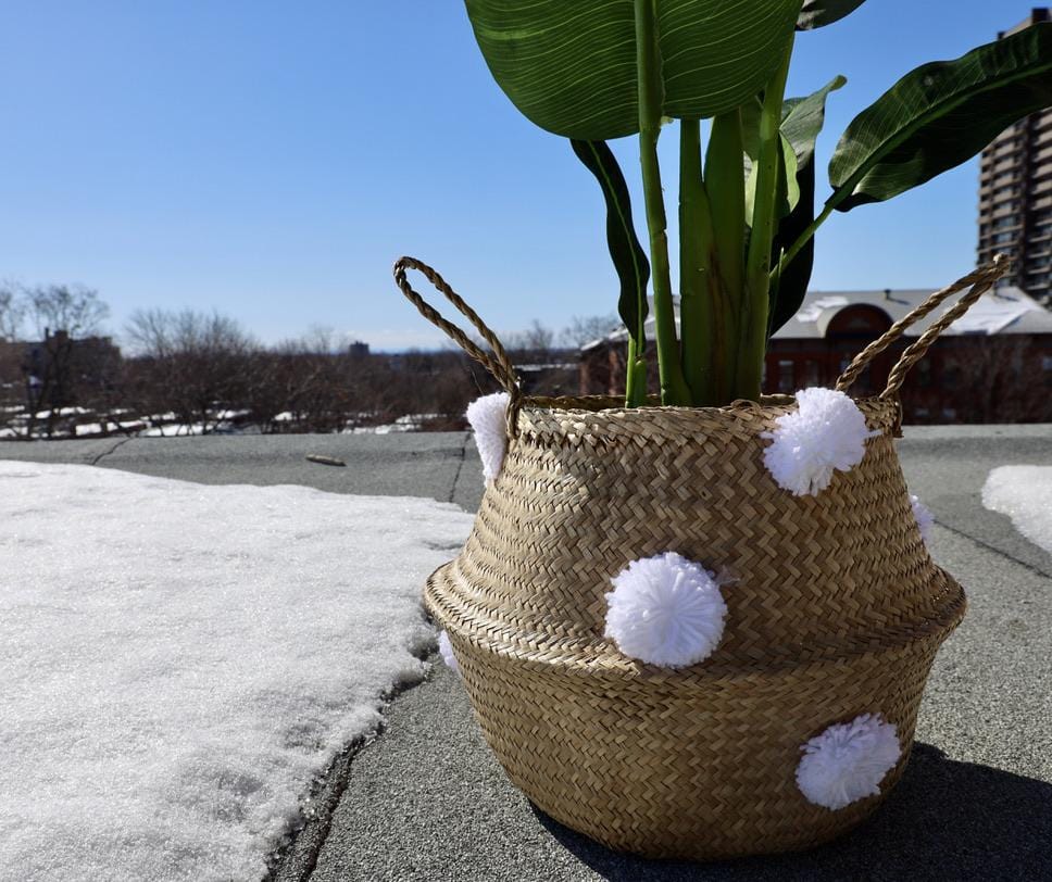 Bomba - Seagrass Basket With White Pompoms 