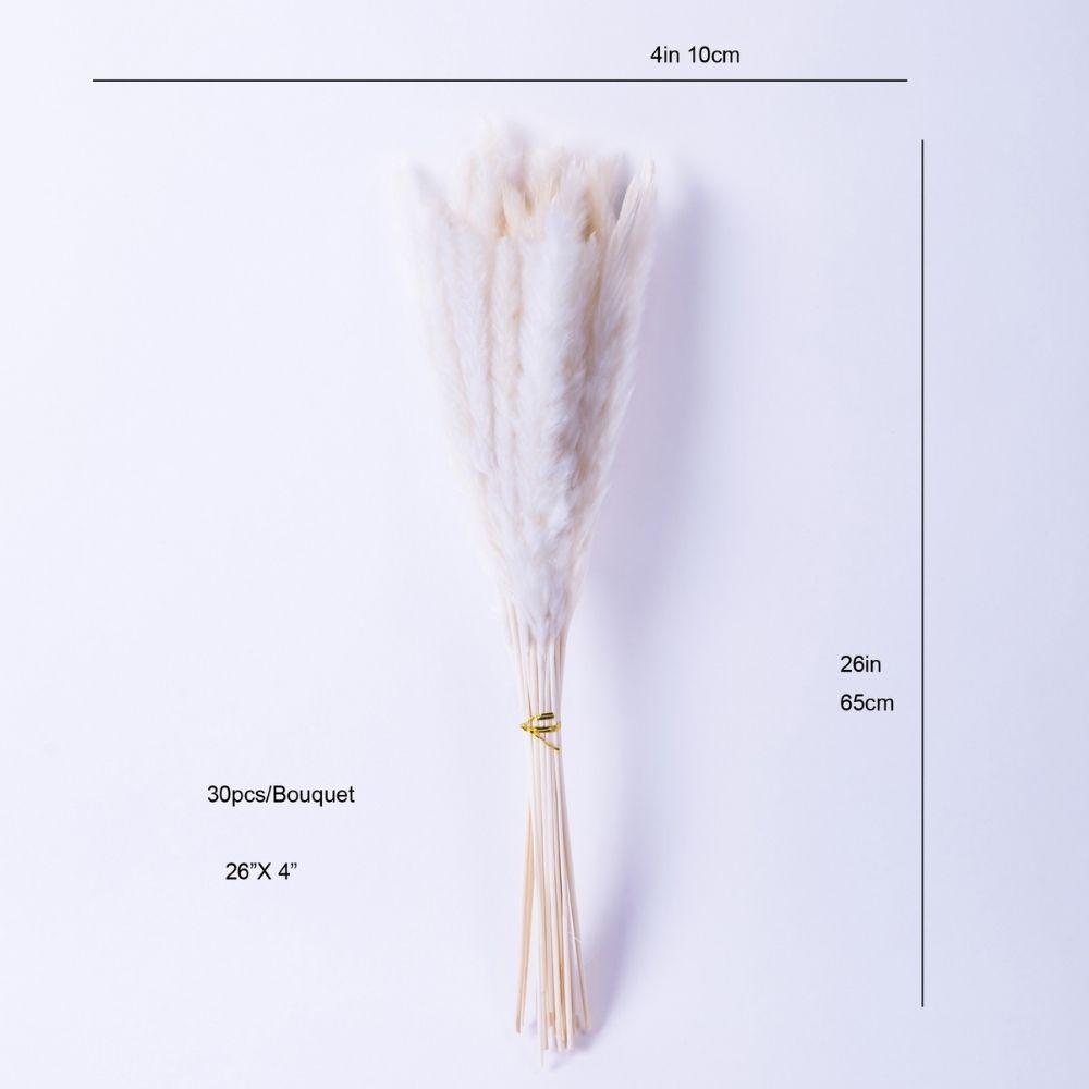 Beige Pampas Bouquet 26'' (Set Of 30) 