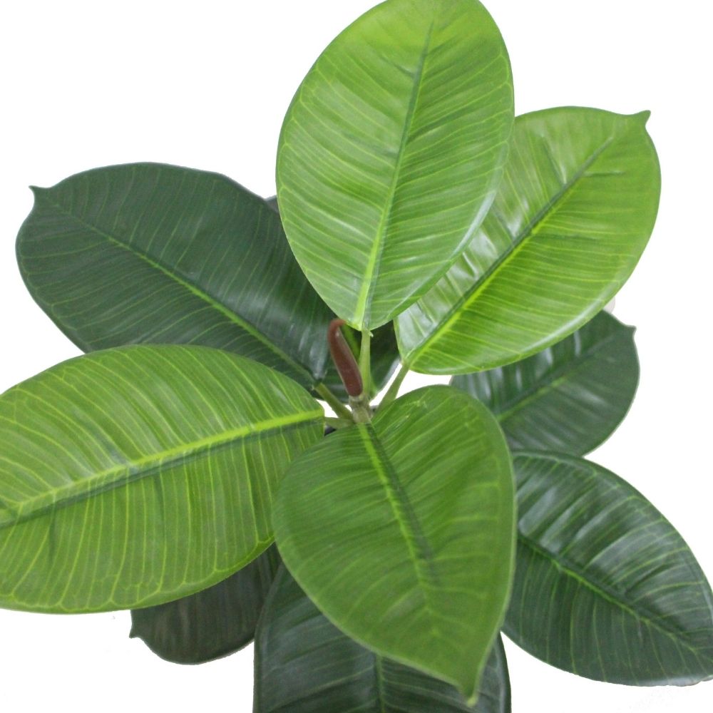 Iza Artificial Rubber Potted Plant 1.4' 