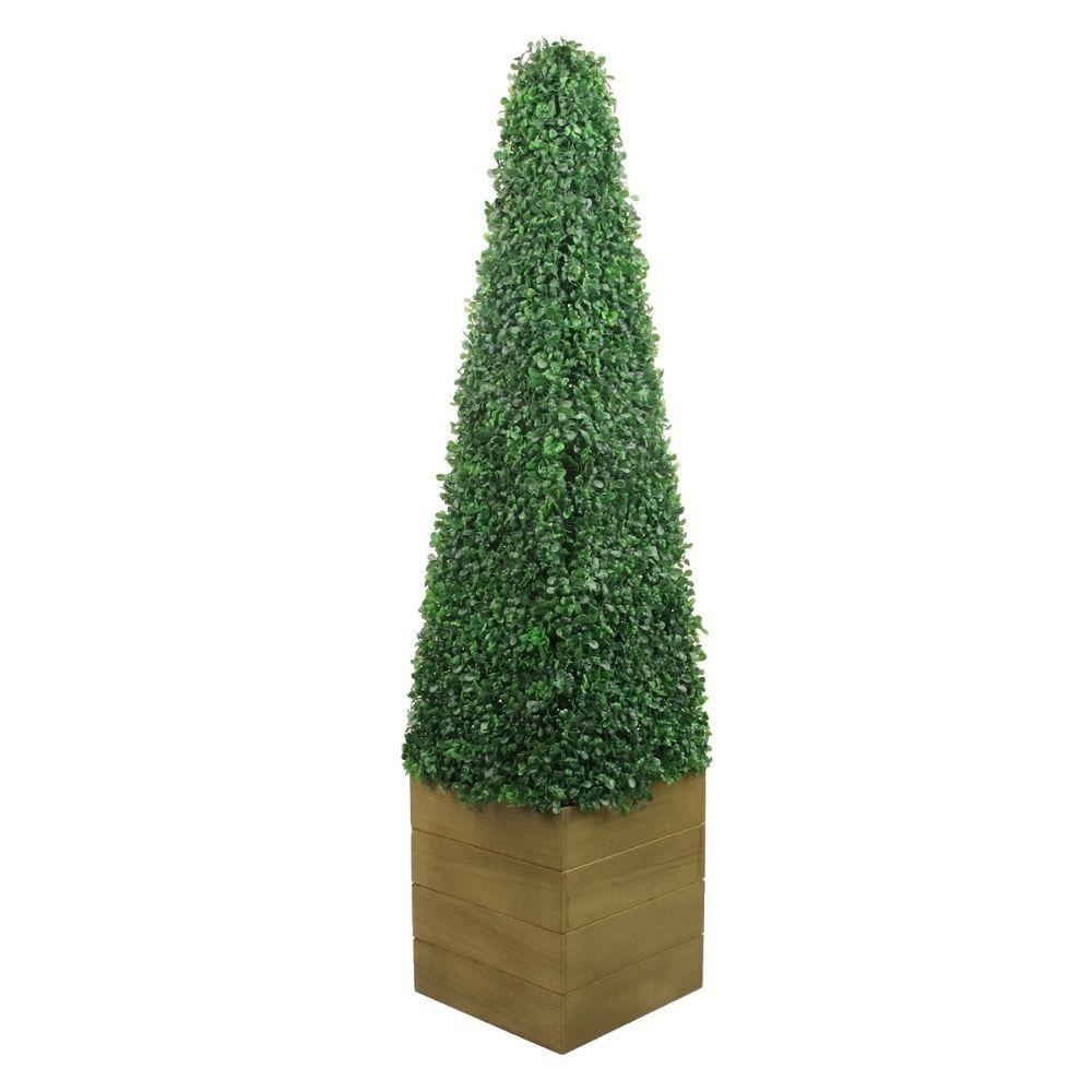 Mayer Potted Boxwood Topiary Plant (Multiple Sizes) 