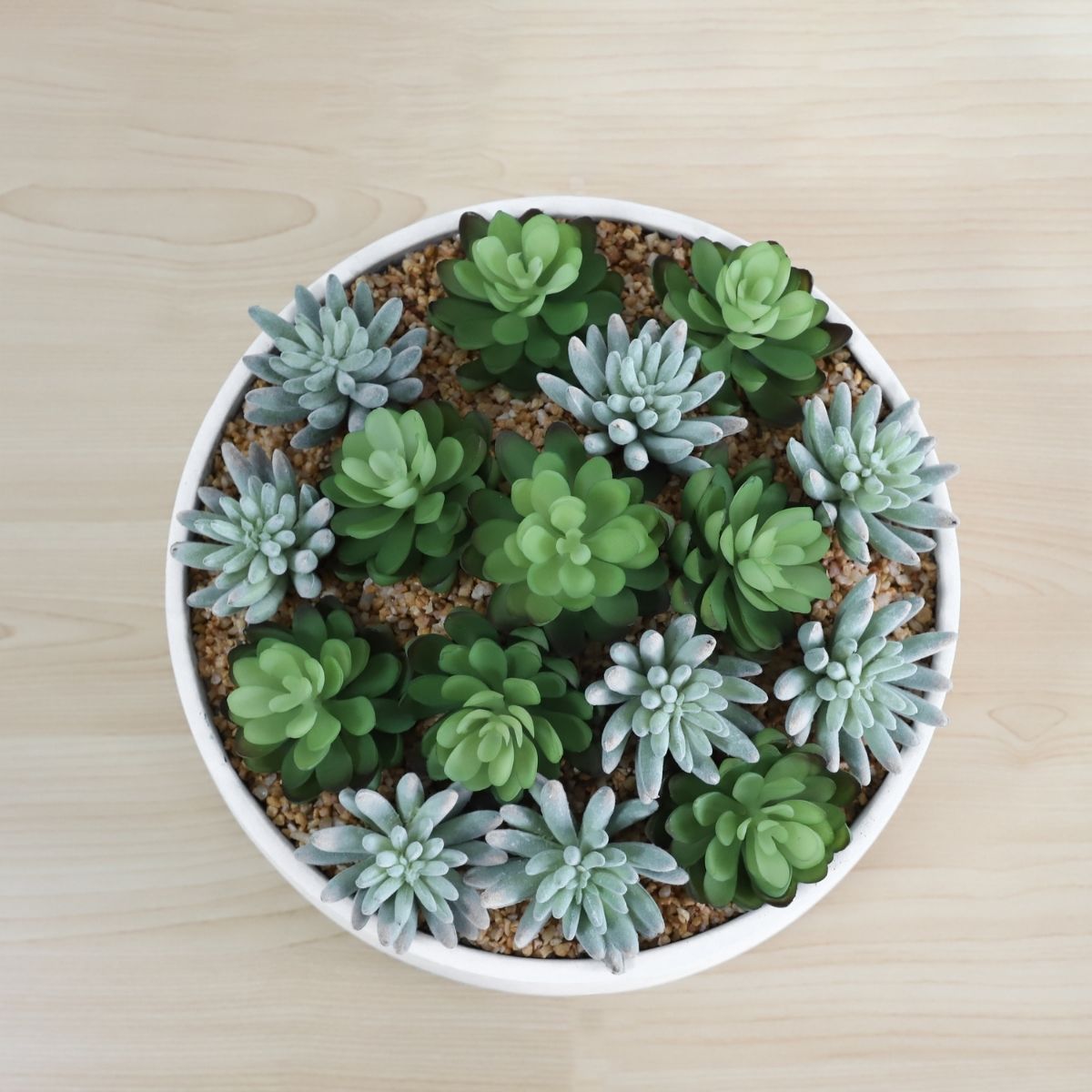 Eva Artificial Succulent Arrangement in Low White Pot 