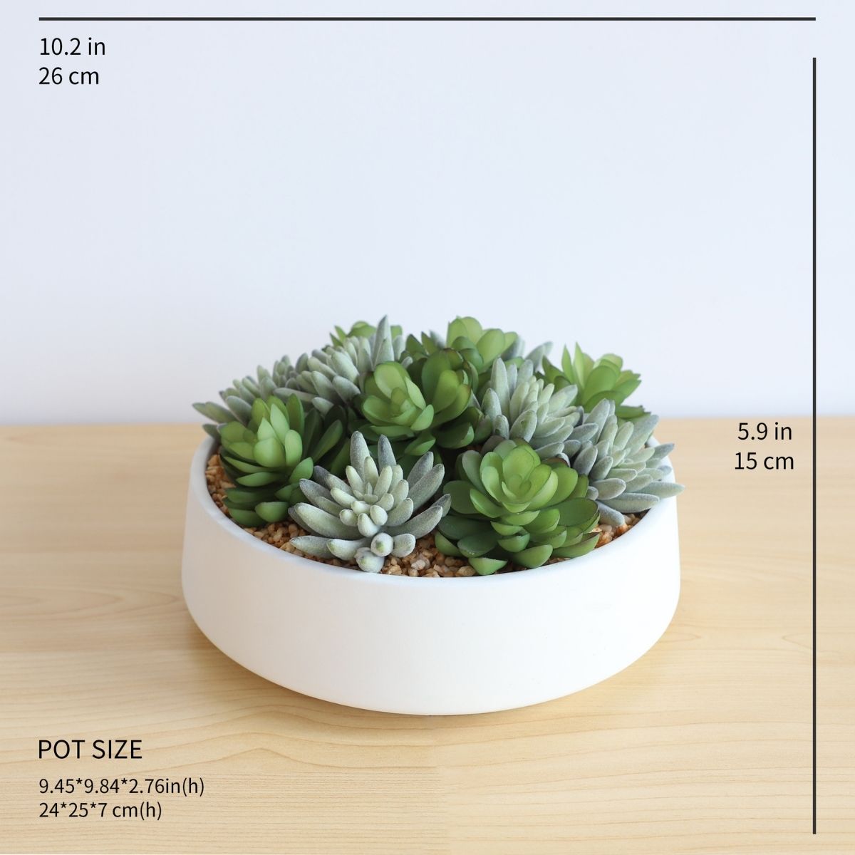 Eva Artificial Succulent Arrangement in Low White Pot 