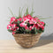 Aubree Artificial Floral Arrangement in Hanging Basket | Bumblebee Yellow Silk Flowers, 1.1FT