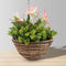 Lyla Artificial Floral Arrangement in Hanging Basket – Lifelike Yellow Silk Flowers & Greenery Décor for Home, Balcony, or Office