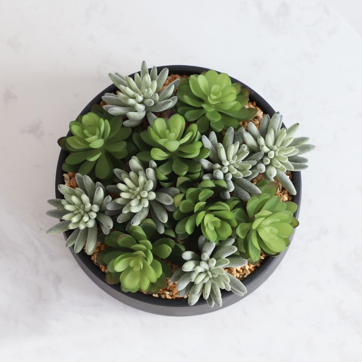 Kae Artificial Succulent Arrangement in Low Black Pot 
