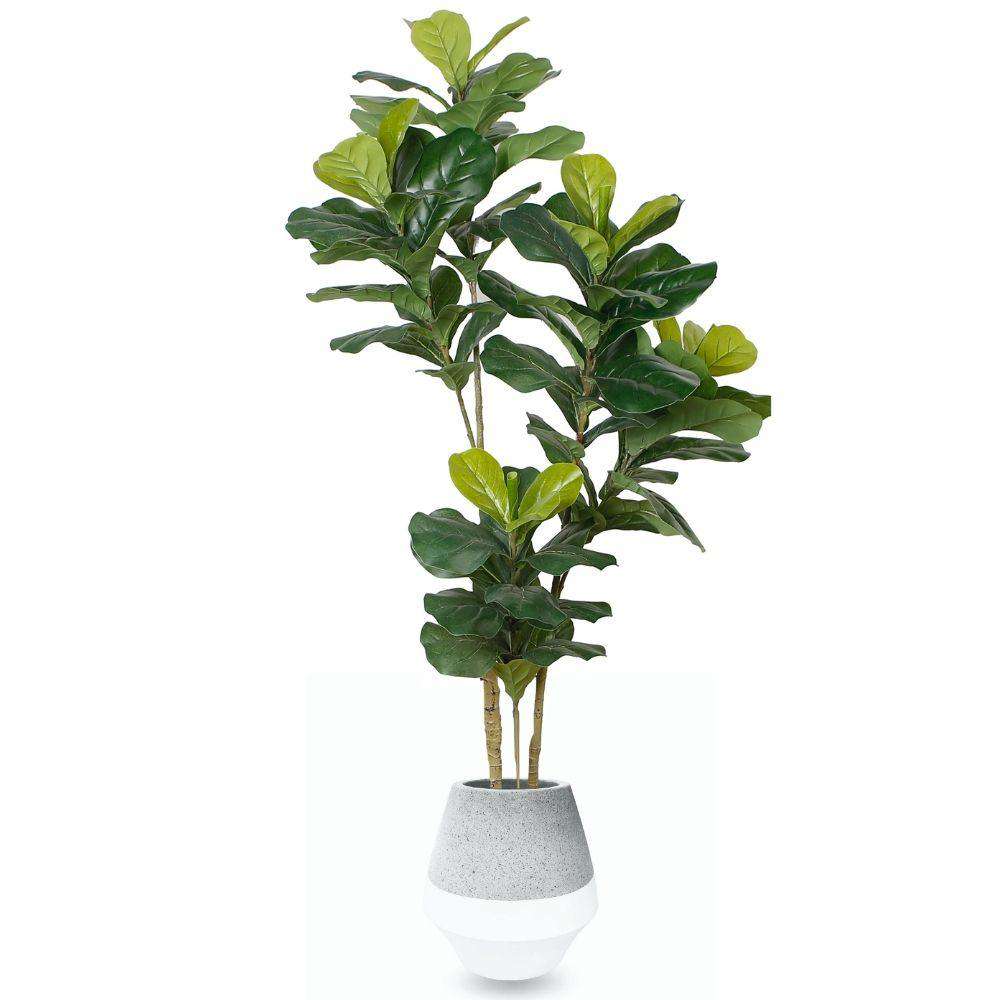 Gia Cement Planter 