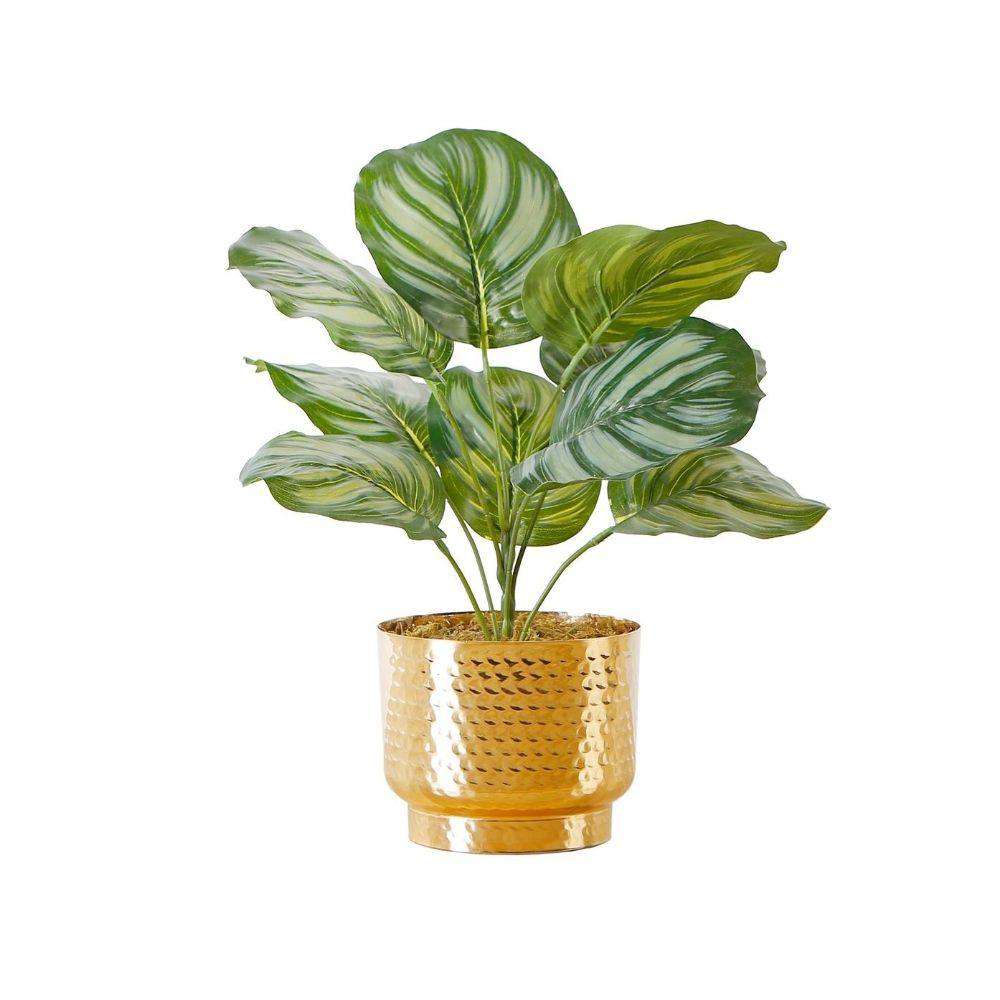 Calathea Faux Potted Plant 