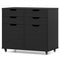 4 Drawer File Cabinet with Wheels for Home Office Organization-Black