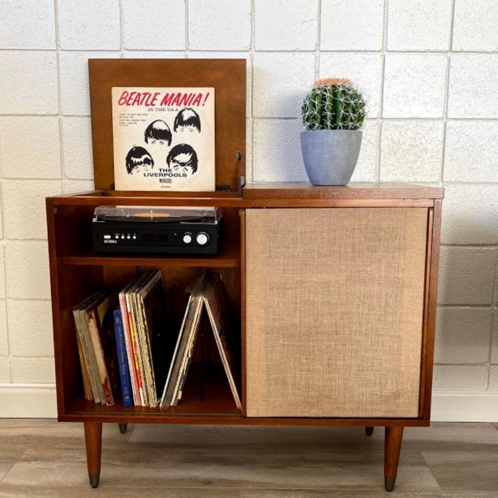 Coco Artificial Cactus Potted Plant 11" 