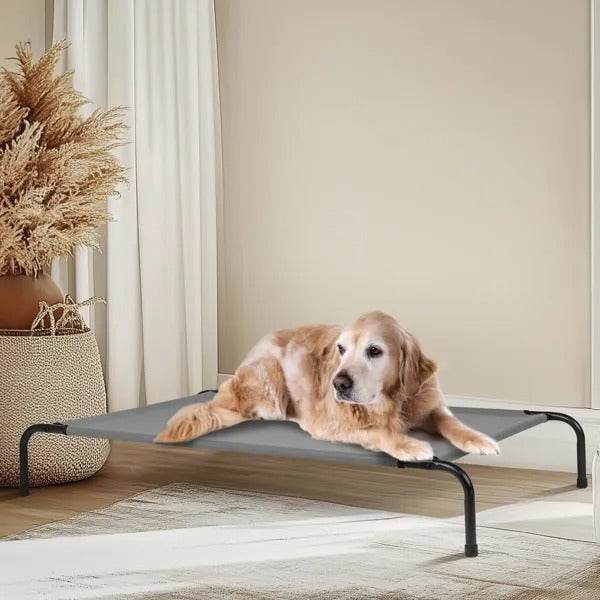 50D X 31W X 8H Dog Bed 