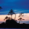 506 Quatsino/Cape Scott Outside Passage Chart Assistant