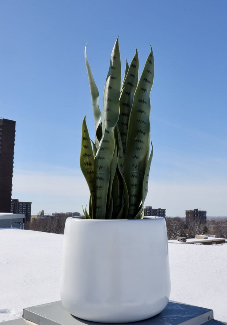 Fabi - White Brass Floor Planter 