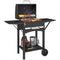 Charcoal Grill with 2 Side Tables, Barbecue Grill with Thermometer and Warming Rack, Wheels, 43.3