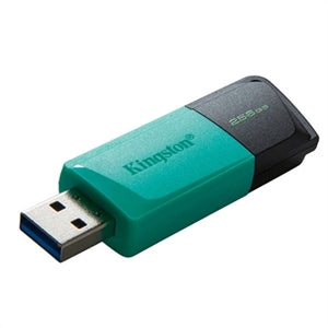 Kingston DataTraveler Exodia M 256GB USB 3.2 (Gen 1) Flash Drive 