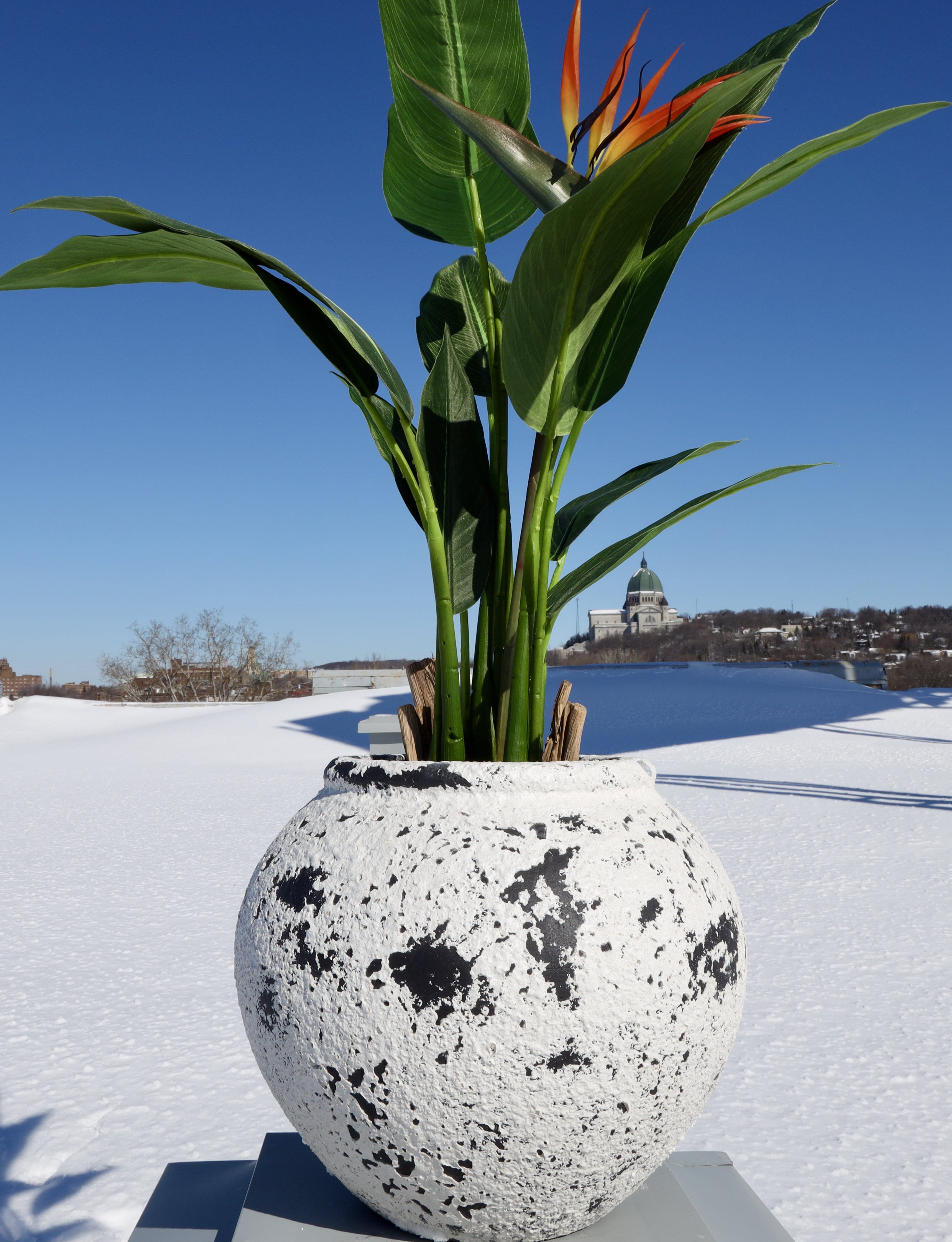 Athens Cement Planter 14'' 