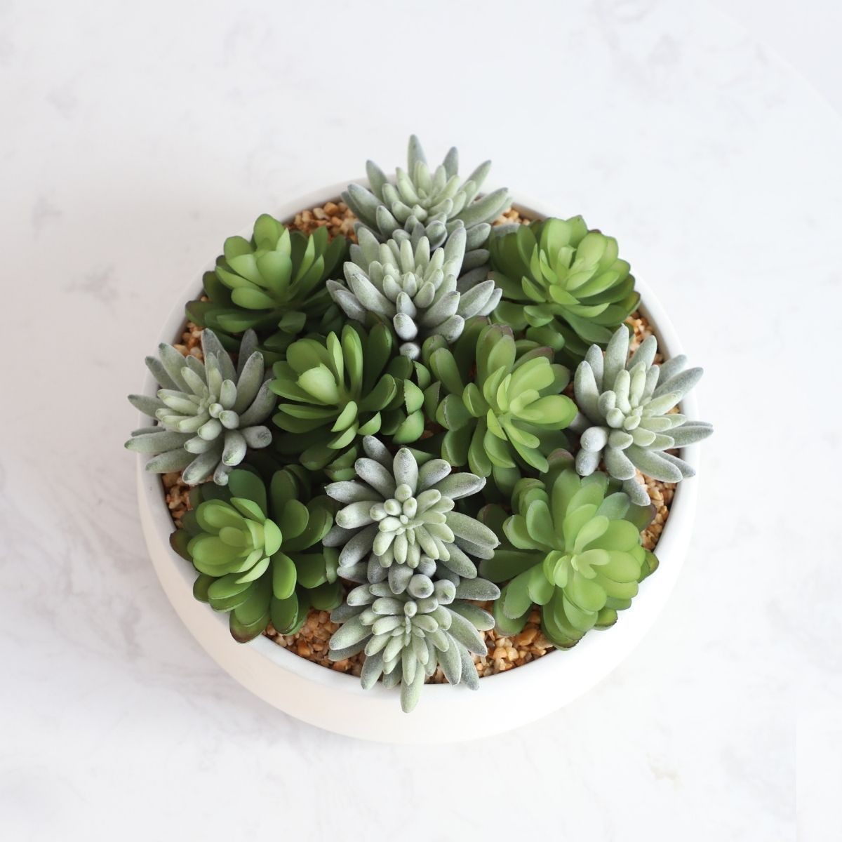 Eva Artificial Succulent Arrangement in Low White Pot 