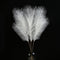 Artificial Pampas Grass Arrangement Ivory | Farmhouse Bouquet, 32–47 inches, Rustic Décor
