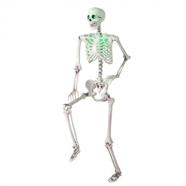 5.5 FT Halloween Skeleton Life-Size Posable for Indoor Outdoor Decoration