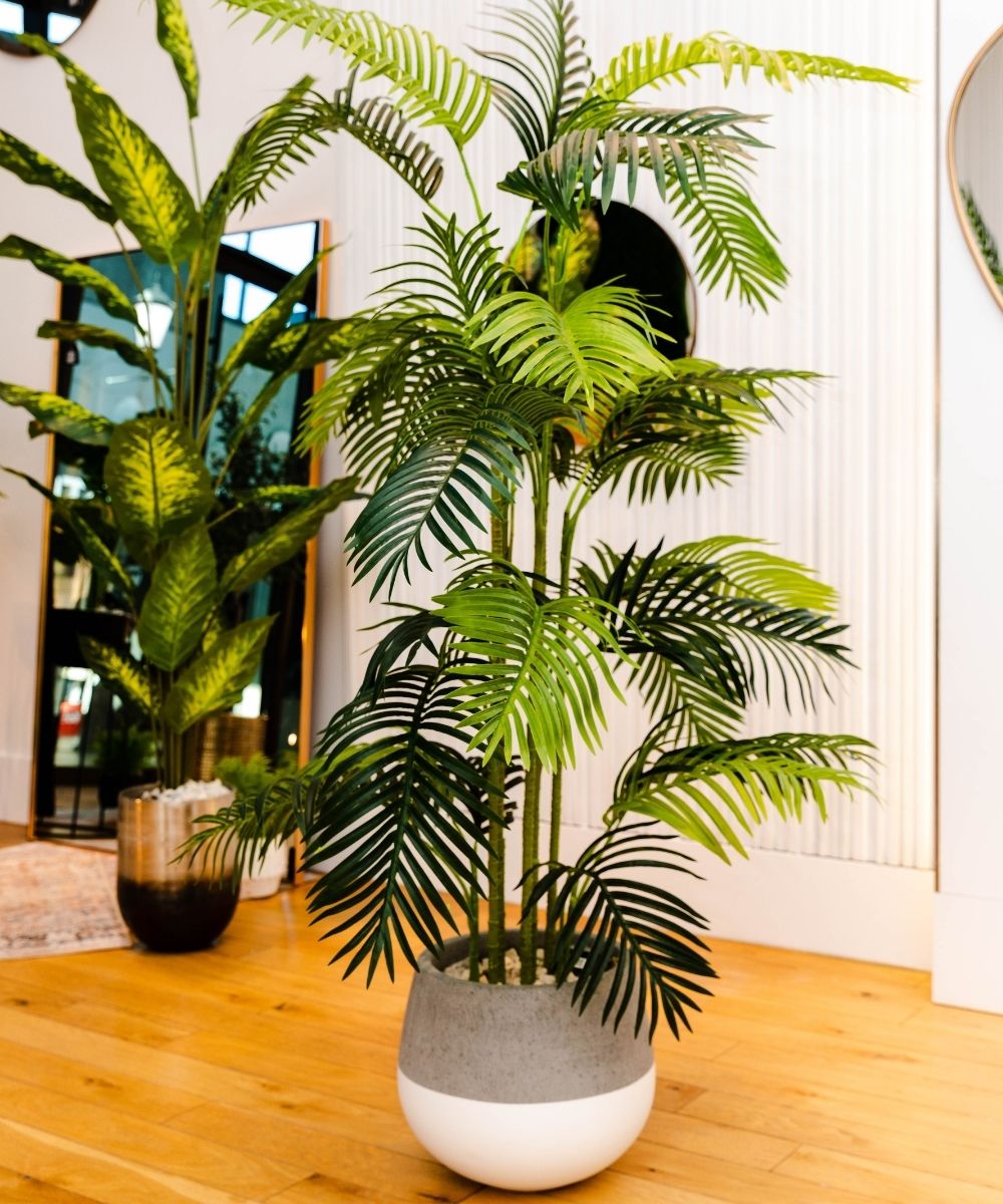 Arlo Artificial Hawaii Kwai Palm Tree Potted Plant (Multiple Sizes) 