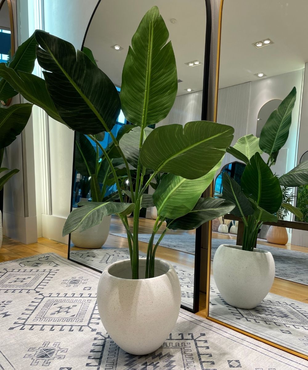 Merida Round Cement Planter (Multiple Sizes) 